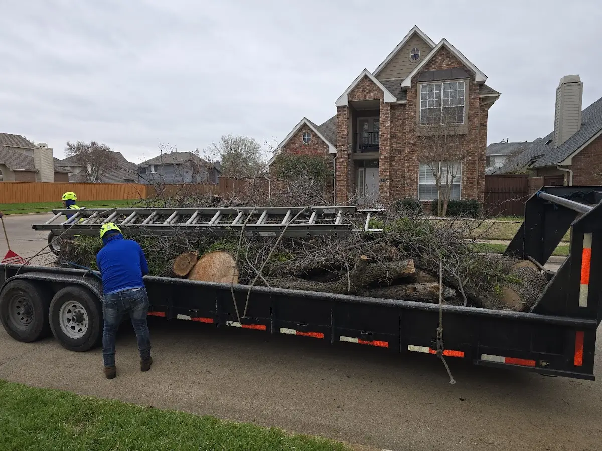 Expert Tree Fertilization with proper safety equipment in Goshen